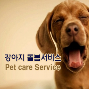 강아지, 고양이등 애완동물, 반려동물 밥주기,물주기,배변치우기등 애완동물 서비스 전문.